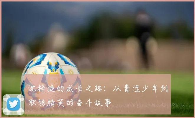 沈梓捷的成长之路：从青涩少年到职场精英的奋斗故事