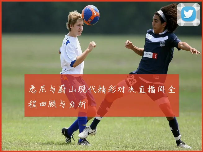 悉尼与蔚山现代精彩对决直播间全程回顾与分析