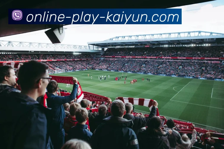 开云体育服务体系